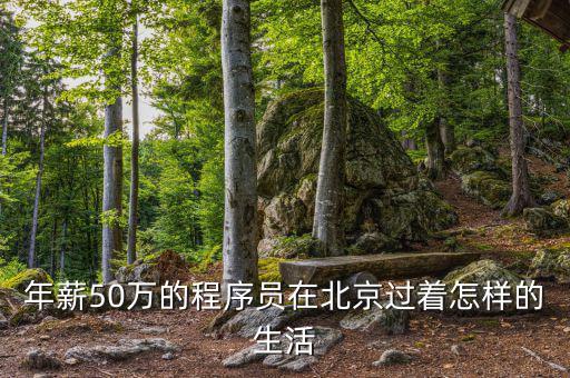 年薪50萬(wàn)的程序員在北京過(guò)著怎樣的生活