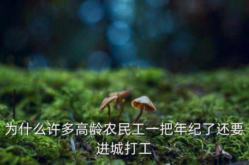 為什么許多高齡農(nóng)民工一把年紀(jì)了還要進(jìn)城打工