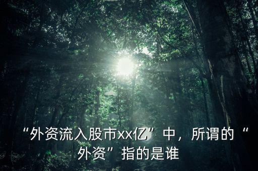 “外資流入股市xx億”中，所謂的“外資”指的是誰