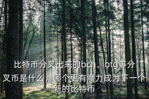 比特幣分叉出來的bch、btg等分叉幣是什么，哪個更有潛力成為下一個新的比特幣