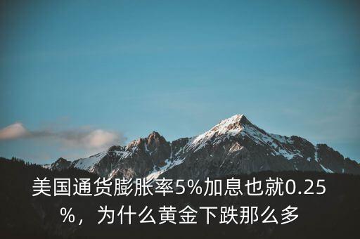 美國(guó)通貨膨脹率5%加息也就0.25%，為什么黃金下跌那么多