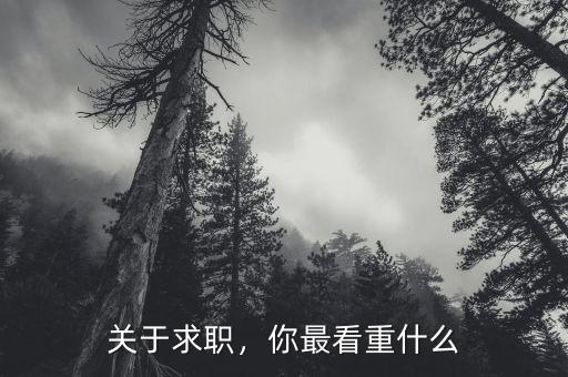 關(guān)于求職，你最看重什么