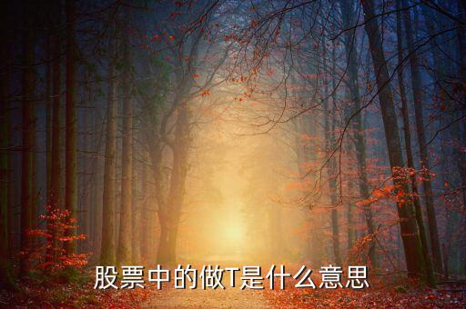 股票術(shù)語做t是什么意思,股票中的做T是什么意思