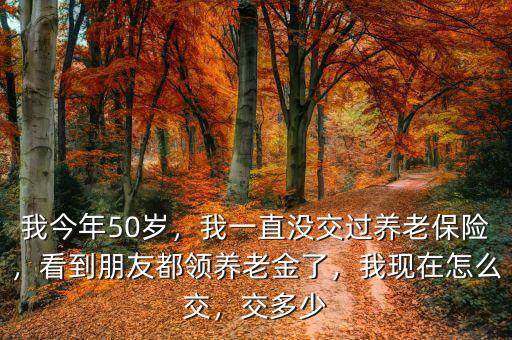 50歲怎么交養(yǎng)老保險,我現(xiàn)在怎么交