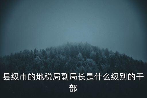 縣級(jí)市的地稅局副局長(zhǎng)是什么級(jí)別的干部