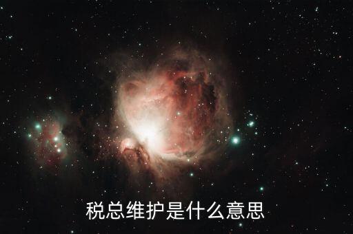稅總維護是什么意思