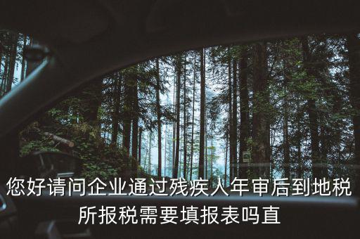 您好請問企業(yè)通過殘疾人年審后到地稅所報稅需要填報表嗎直