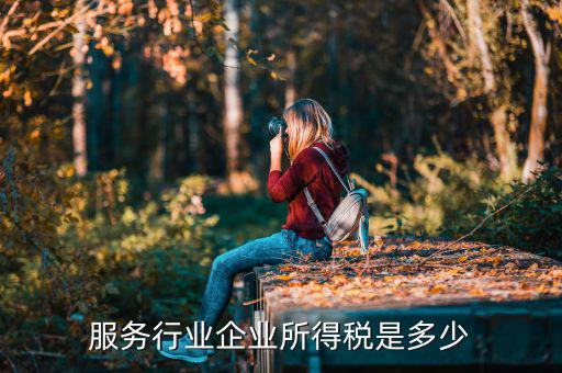 什么是接受服務(wù)企業(yè)所得稅，服務(wù)行業(yè)企業(yè)所得稅是多少