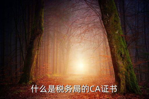 什么是稅務局的CA證書