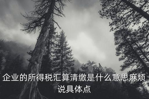 企業(yè)的所得稅匯算清繳是什么意思麻煩說具體點(diǎn)