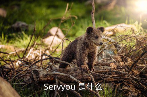 servyou是什么意思，Servyou 是什么