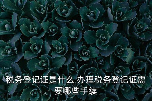 地稅局登記是什么，地稅辦理稅務(wù)登記需要哪些資料