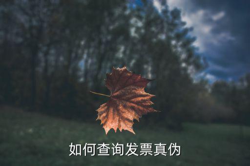 查驗(yàn)發(fā)票需要什么信息，發(fā)票怎么去稅務(wù)局驗(yàn)證需要什么資料