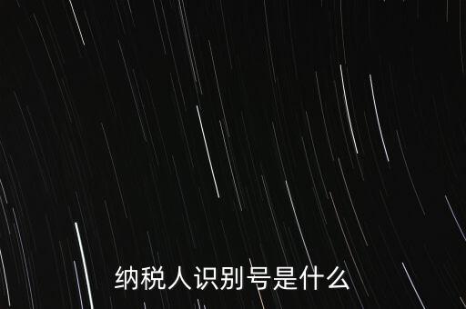 電子稅務(wù)局納稅人識別號是什么，納稅人識別號是什么