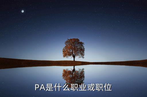 河南省國稅局陳紅偉什么職務(wù)，PA是什么職業(yè)或職位