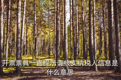 開票票具一直提示請核實(shí)納稅人信息是什么意思