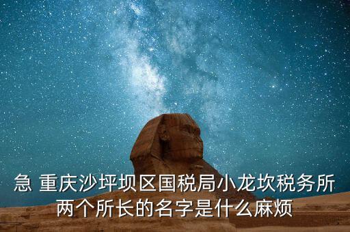 稅務所所長什么級別，地稅局基層稅務所屬什么層級