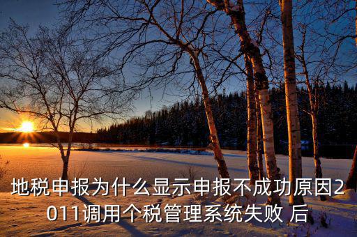 地稅申報(bào)為什么顯示申報(bào)不成功原因2011調(diào)用個(gè)稅管理系統(tǒng)失敗 后