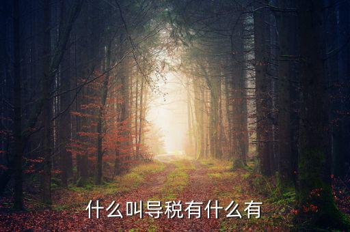 什么叫導(dǎo)稅有什么有