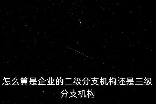 什么叫企業(yè)二級(jí)分支機(jī)構(gòu)，現(xiàn)在分公司要辦稅務(wù)登記證但是我想問(wèn)一下二級(jí)分機(jī)構(gòu)指的是