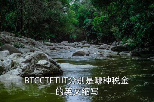 bt 是什么稅，BTCCTETIIT分別是哪種稅金的英文縮寫(xiě)