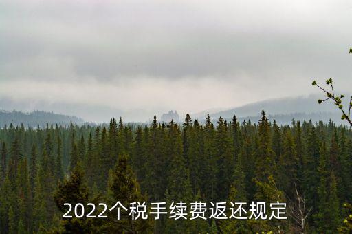 個稅返手續(xù)費什么時間，退個稅手續(xù)費2022年新規(guī)定