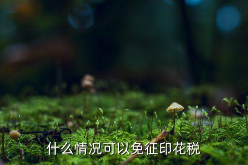 印花稅免稅是什么政策規(guī)定，什么情況可以免征印花稅