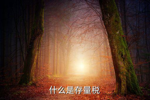 稅務存量戶指什么，稅務登記證轉(zhuǎn)非是什么意思