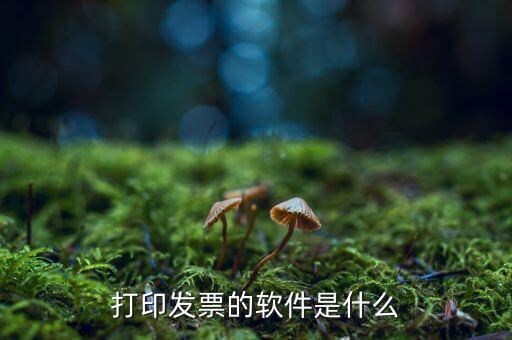 p發(fā)票用什么軟件，我想p一下發(fā)票的內(nèi)容要哪個軟件好