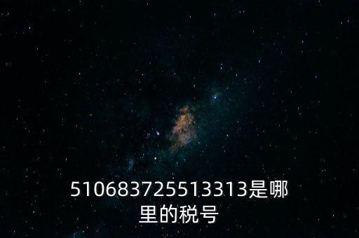 陜西省地方的稅號(hào)開頭是什么，510683725513313是哪里的稅號(hào)