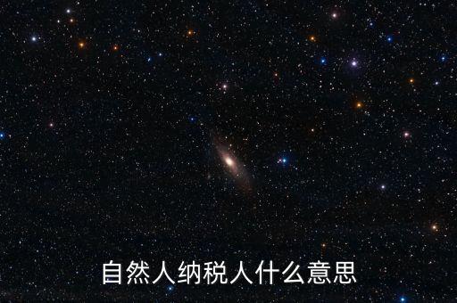 登記稅務(wù)的自然人是什么意思，請問一下自然人登記是什么意思