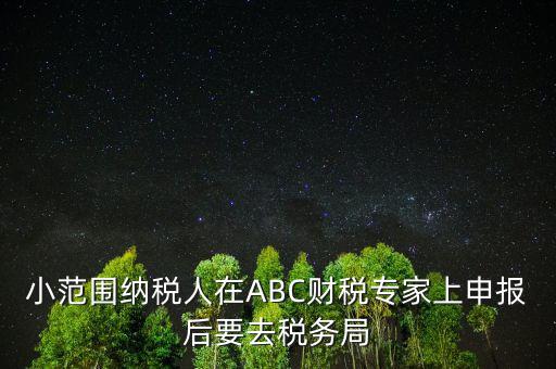 財稅專家是報什么稅，小范圍納稅人在ABC財稅專家上申報后要去稅務局