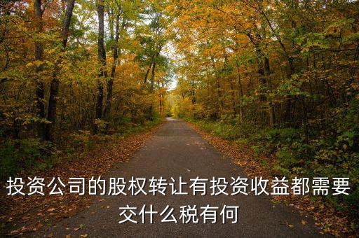 投資公司要交什么稅，投資集團(tuán)公司如何繳稅