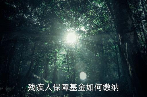 殘疾人保障基金如何繳納