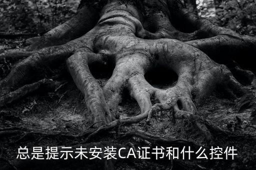 ca控件是什么意思，您是地稅CA用戶但未安裝企業(yè)CA控件為不影響申報(bào)功能正常使用請點(diǎn)