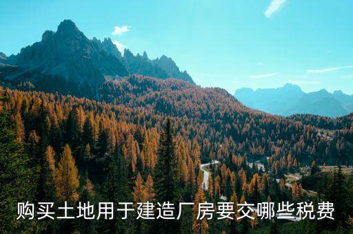 買土地建廠房交什么稅，購買土地用于建造廠房要交哪些稅費(fèi)