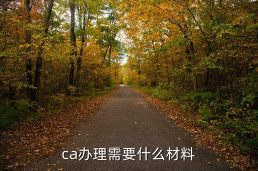 升級(jí)ca需要什么資料，企業(yè)辦理ca需要的材料