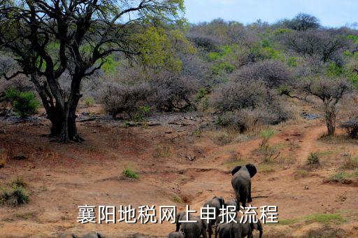 襄陽(yáng)地稅網(wǎng)上申報(bào)流程