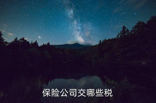 保險(xiǎn)公司交哪些稅