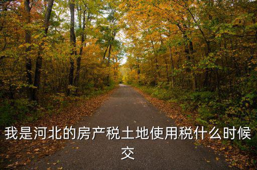 河北地稅申報(bào)后什么時(shí)候繳費(fèi)，我是河北的房產(chǎn)稅土地使用稅什么時(shí)候交