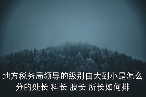 地方稅務(wù)局領(lǐng)導(dǎo)的級(jí)別由大到小是怎么分的處長(zhǎng) 科長(zhǎng) 股長(zhǎng) 所長(zhǎng)如何排