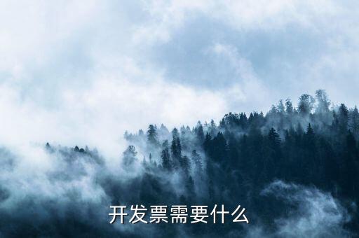 正式發(fā)票要什么手續(xù)，公司開發(fā)票需要什么手續(xù)