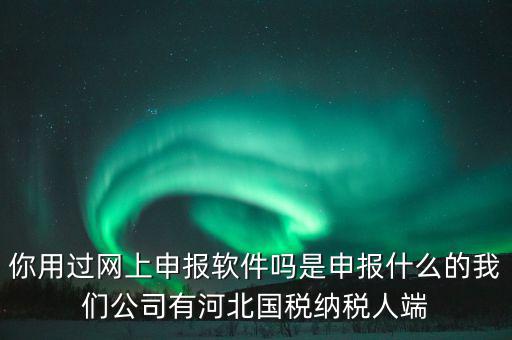 企業(yè)申報(bào)客戶端是什么，你用過(guò)網(wǎng)上申報(bào)軟件嗎是申報(bào)什么的我們公司有河北國(guó)稅納稅人端