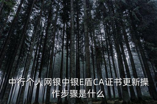 升級(jí)ca需要什么，CA證書怎么從副盤升級(jí)成正盤