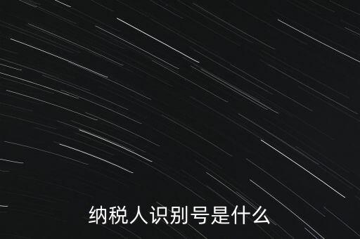 山西國稅納稅人識別號是什么，納稅人識別號是什么