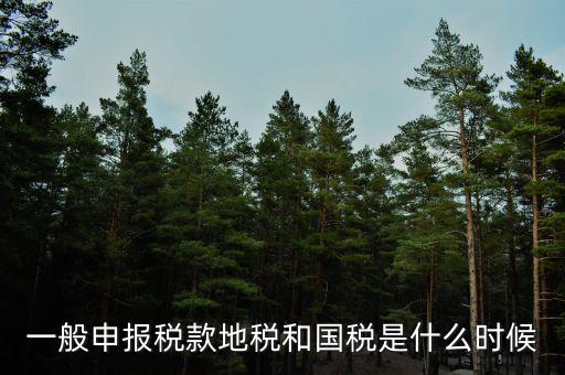 廣東省國稅和地稅什么時(shí)候申報(bào)，每月什么時(shí)間到地稅或國稅申報(bào)