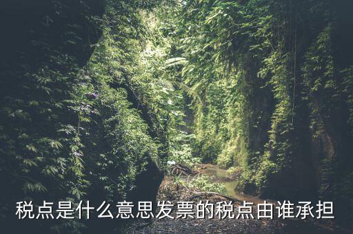 稅點(diǎn)由什么決定，稅點(diǎn)是什么意思