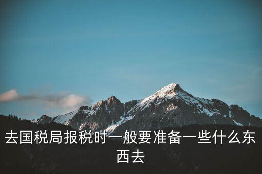 去國稅局報稅時一般要準(zhǔn)備一些什么東西去