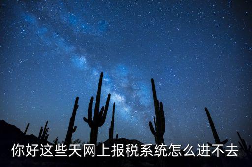 為什么個稅系統(tǒng)打不開，你好這些天網(wǎng)上報稅系統(tǒng)怎么進不去