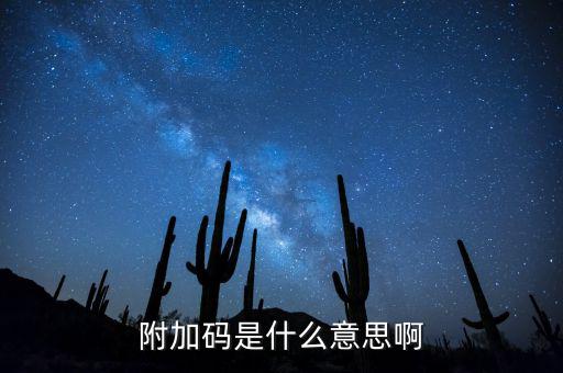 遼寧查發(fā)票有一個附加碼是什么，發(fā)票真?zhèn)尾樵兇a是什么